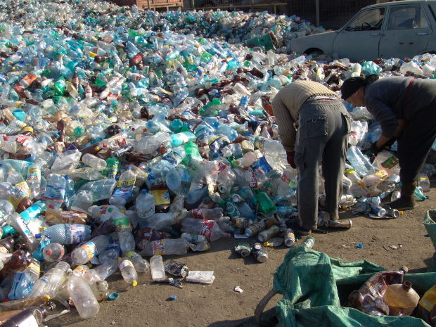 Che impatto ha una bottiglia di plastica sull'ambiente? - BioEcoGeo