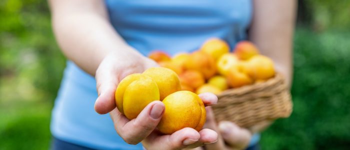 Caldo estivo? Il segreto sono frutta e verdura!